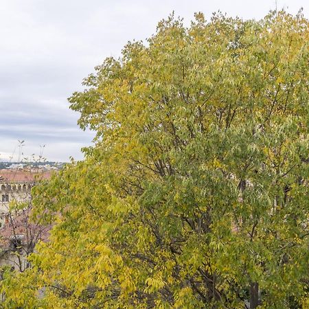 My Hotel Peyrou - Premiere Conciergerie Montpellier Ngoại thất bức ảnh