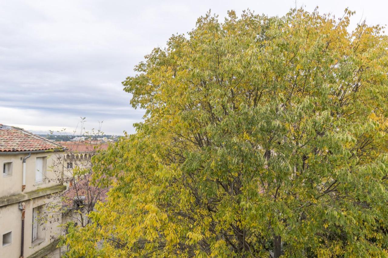 My Hotel Peyrou - Premiere Conciergerie Montpellier Ngoại thất bức ảnh